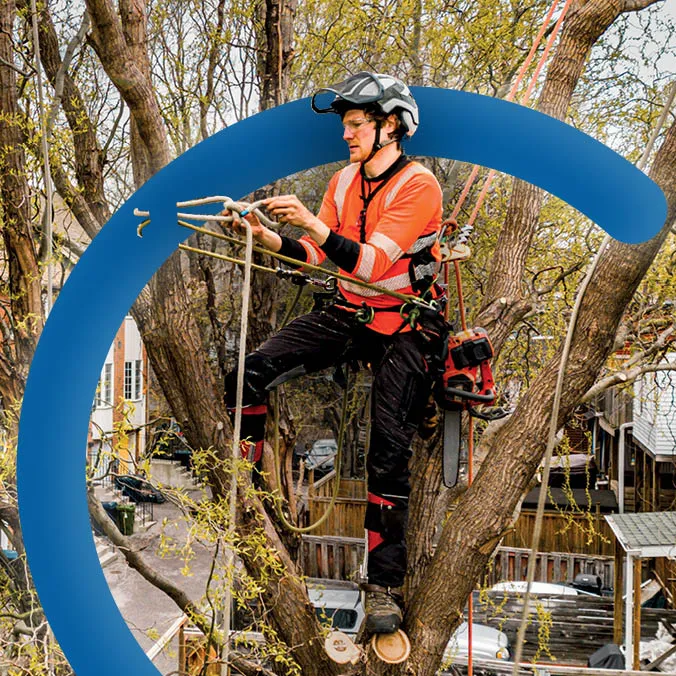 Opleidingen boomverzorger - Syntra West